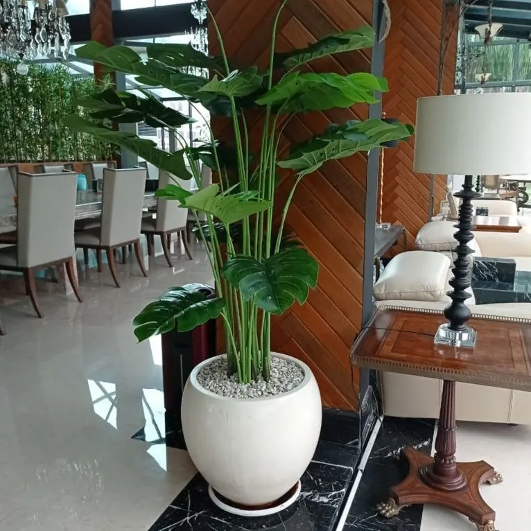 Tanaman Monstera Artificial